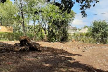 Land with two plots for sale in Vacoas